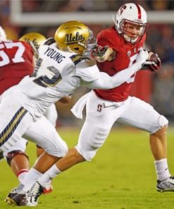Arizona Cardinals Football Paint by numbers