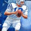 Football Player Paint by numbers