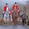 Aesthetic Fox Hunting Paint by numbers