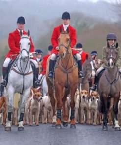 Aesthetic Fox Hunting Paint by numbers