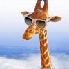 Giraffe With Sunglasses Paint by numbers
