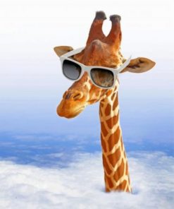 Giraffe With Sunglasses Paint by numbers