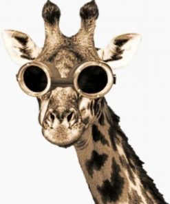 Giraffe With Sunglasses Paint by numbers