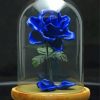 Blue Glass Rose Paint by numbers