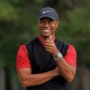 Golfer Tiger Woods Paint by numbers