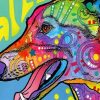 Greyhound Dog Paint by numbers