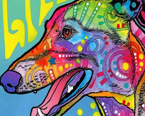 Greyhound Dog Paint by numbers