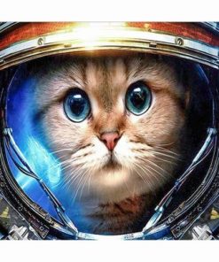 Astronaut Cat paint by numbers