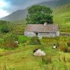 Irish Scenery Paint by numbers