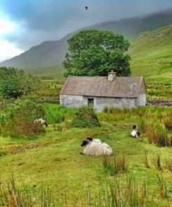 Irish Scenery Paint by numbers