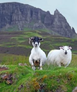 Isle Of Skye Paint by numbers