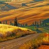 Italian Countryside Paint by numbers