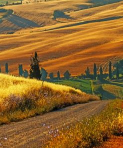 Italian Countryside Paint by numbers
