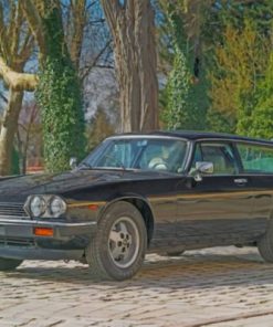 Jaguar Xjs Paint by numbers