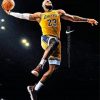 James Lebron Basketball Paint by numbers