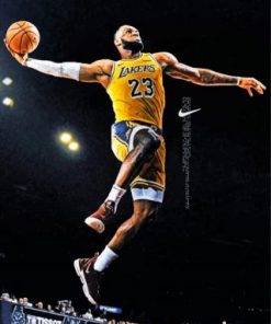 James Lebron Basketball Paint by numbers