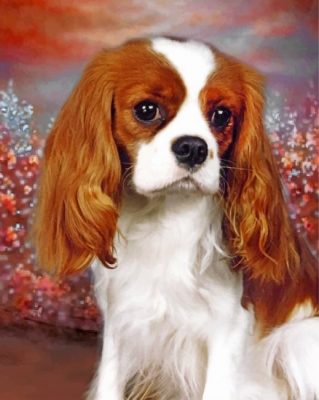 King Charles Spaniel Portrait Paint by numbers
