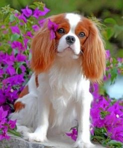 King Charles Spaniel Puppy Paint by numbers