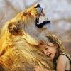 little girl hugging lion paint by number