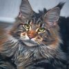 Maine Coon Cat Paint by numbers