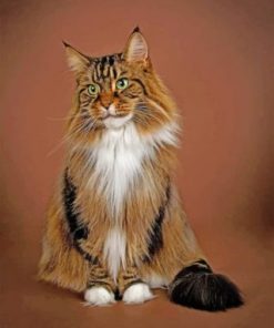 Maine Coon Paint by numbers