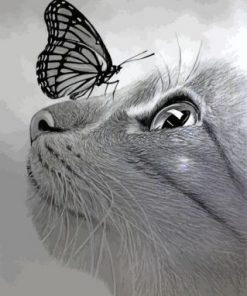 Monochrome Cat And Butterfly Paint by numbers