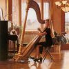 musician-girl-steve-hanks-paint-by-numbers