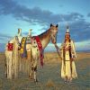 Native American Woman Paint by numbers