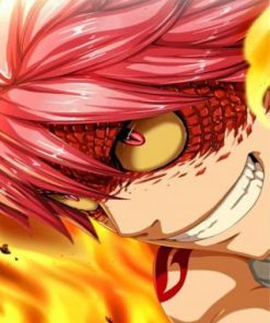 Natsu Fairy Tail Paint by numbers