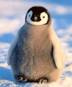 Adorable Penguin Paint by numbers