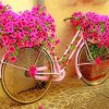 Pink Bicycle With Flowers Paint by numbers