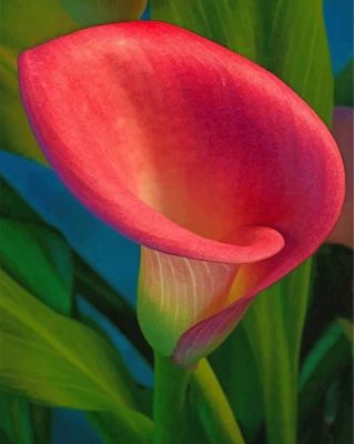 Pink Calla Lily paint by numbers