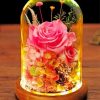 Pink Glass Rose Paint by numbers