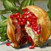 Pomegranate Paint by numbers
