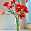 Poppy Flowers Paint by numbers