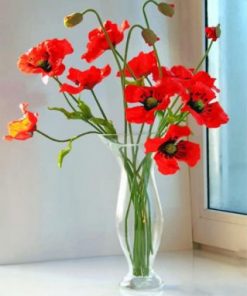 Poppy Flowers Paint by numbers