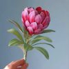 Pretty Protea Paint by numbers
