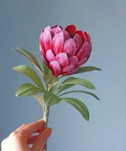 Pretty Protea Paint by numbers