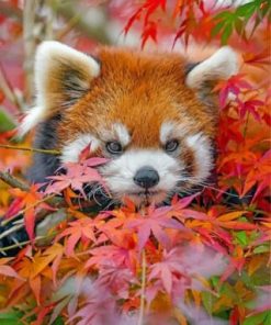 Red Panda And Leaves Paint by numbers