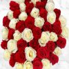 Red And White Roses Paint by numbers