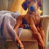Rhodesian Ridgeback Paint by numbers