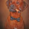 Rhodesian Ridgeback Smoking Paint by numbers