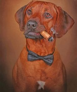 Rhodesian Ridgeback Smoking Paint by numbers