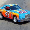 Richad Petty Race Car Paint by numbers