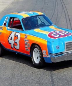 Richad Petty Race Car Paint by numbers