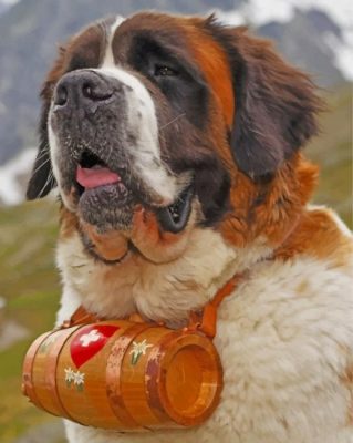 Saint Bernard Paint by numbers