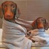 Sausage Puppies Paint by numbers
