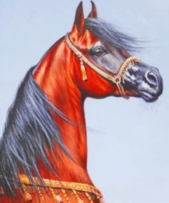 Sorrel Arabian Horse - Paint By Numbers