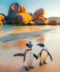 South African Penguins Paint by numbers