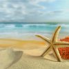 Starfish On Beach Sand Paint by numbers